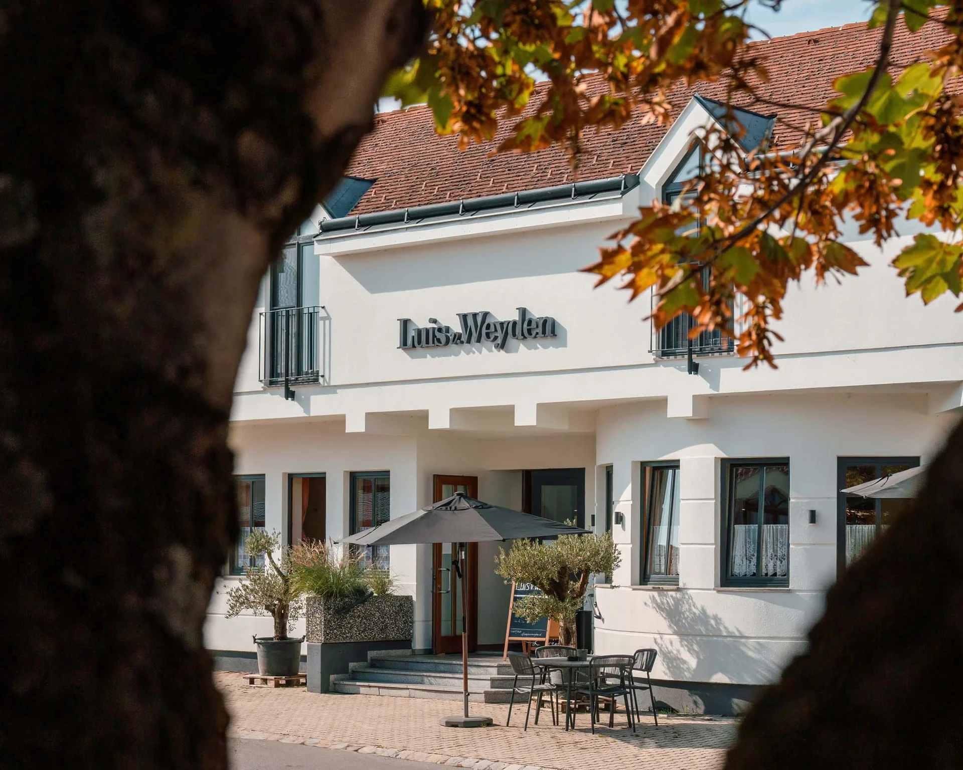 Impressionen aus dem Luis von Weyden Blick durch Baumstämme auf ein weißes Gebäude mit Terrasse und Sonnenschirm