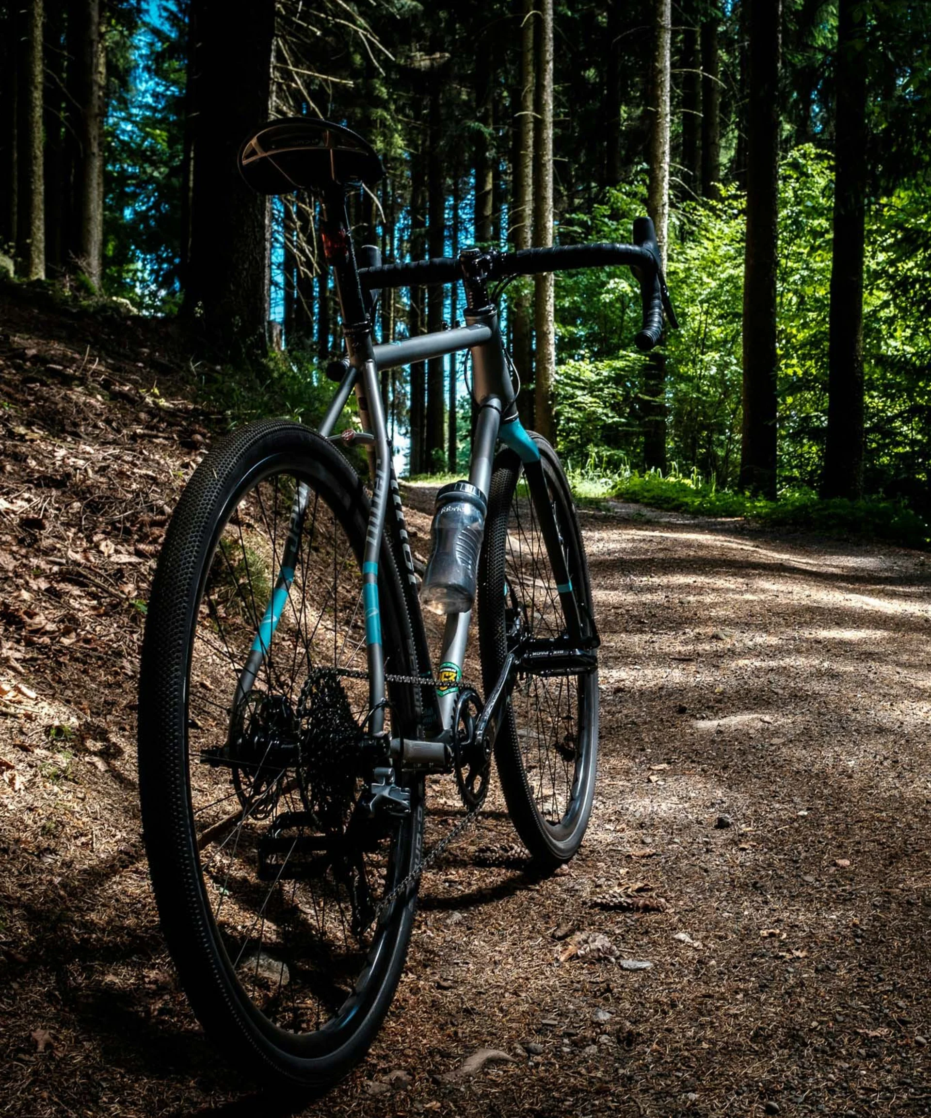 Unser Hotel in Weiden am See: ein Schmuckstück Fahrrad steht auf Waldweg im sonnigen Wald