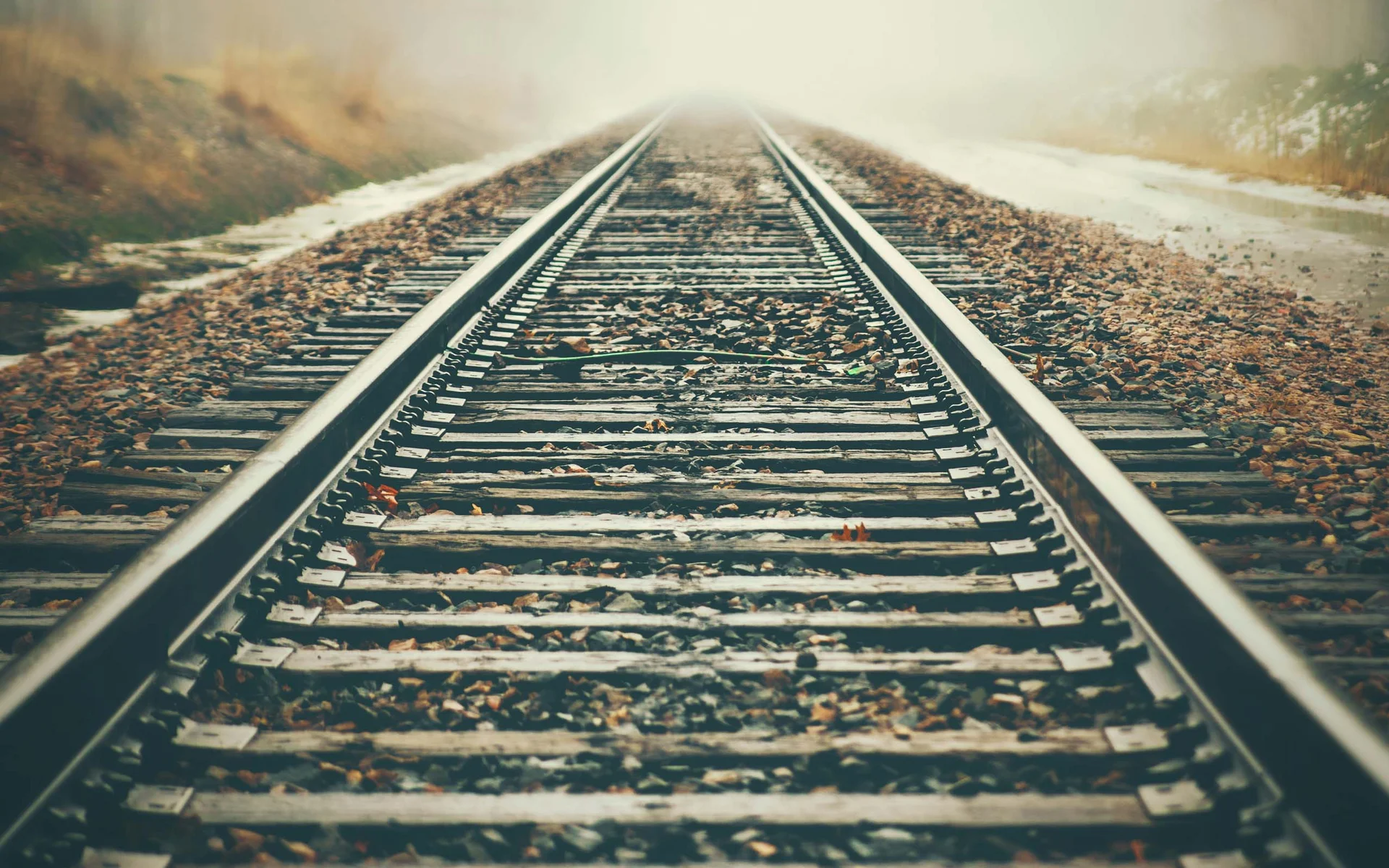 Die perfekte Lage des Luis von Weyden Eisenbahnschienen verschwinden im nebligen, ruhigen Wald